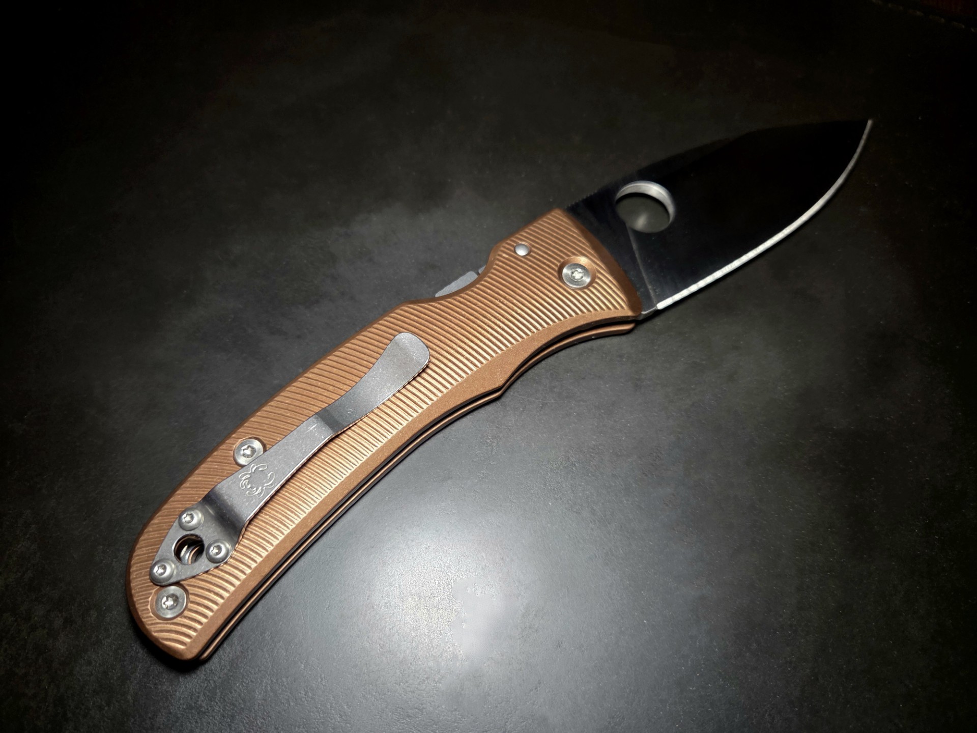 spyderco_bodacious (2)