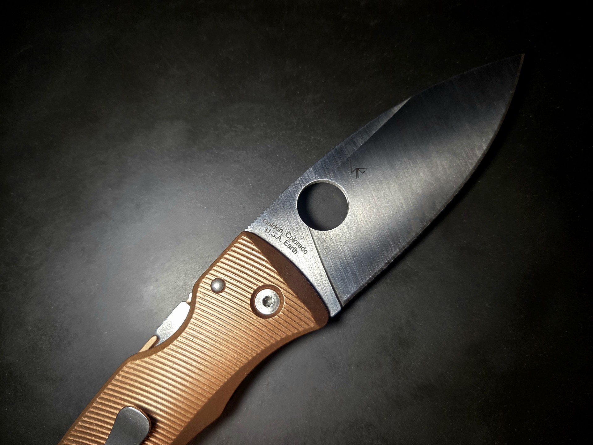 spyderco_bodacious (3)