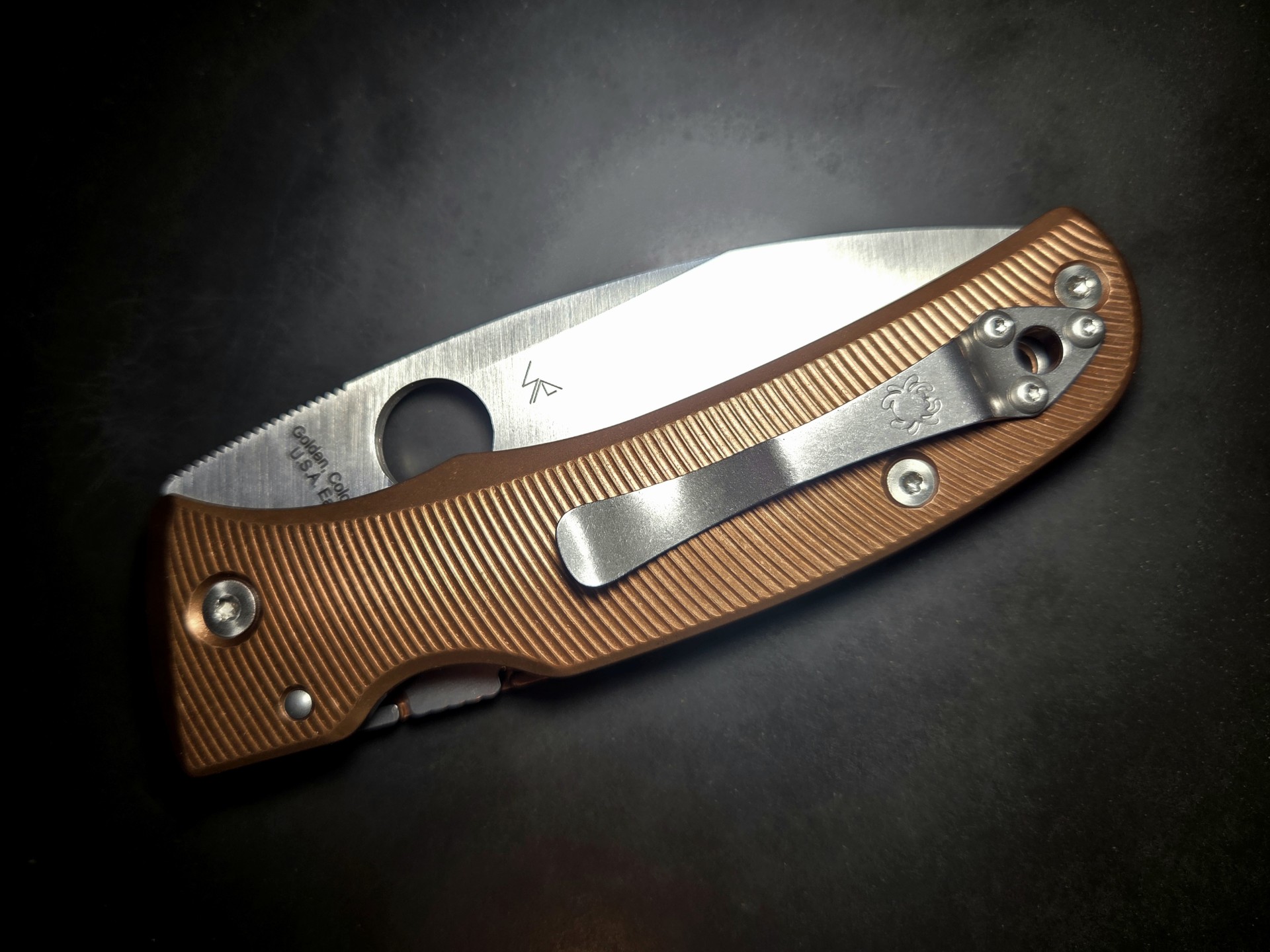 spyderco_bodacious (4)