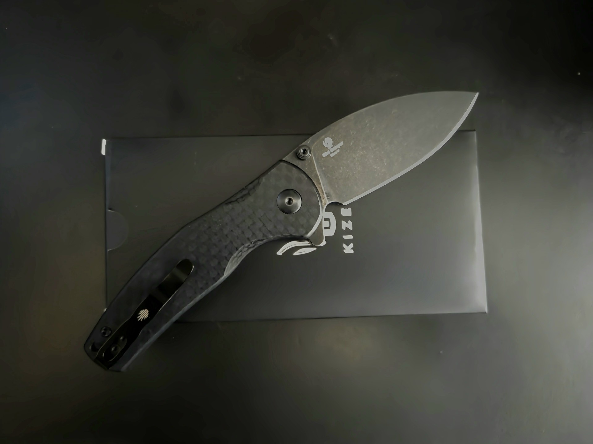kizer_grouper (3)